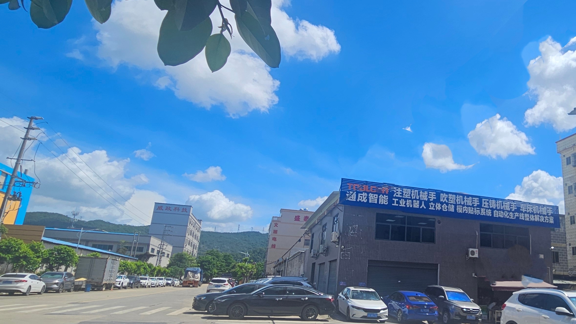 1725437738222523.jpg 1725437738222523.jpg